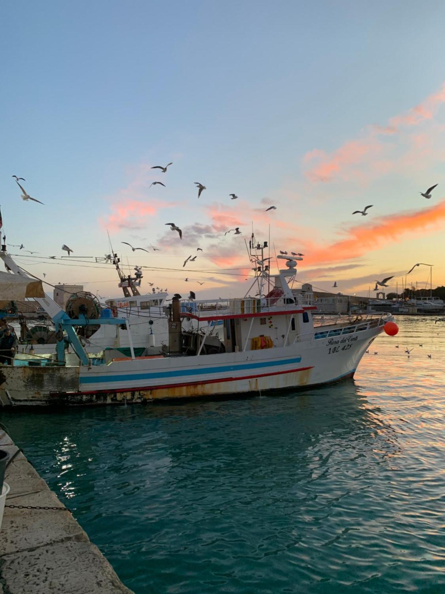Vischi Apartment Trani By Le Marinelle Loc Turistica Kültér fotó